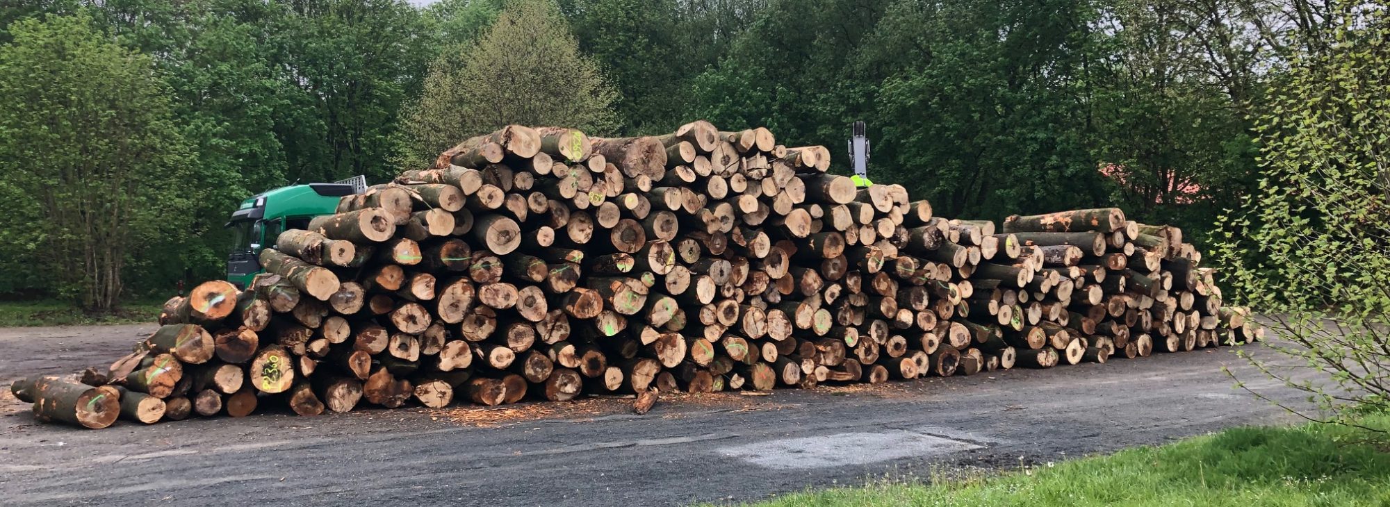 Holzfreunde Broistedt